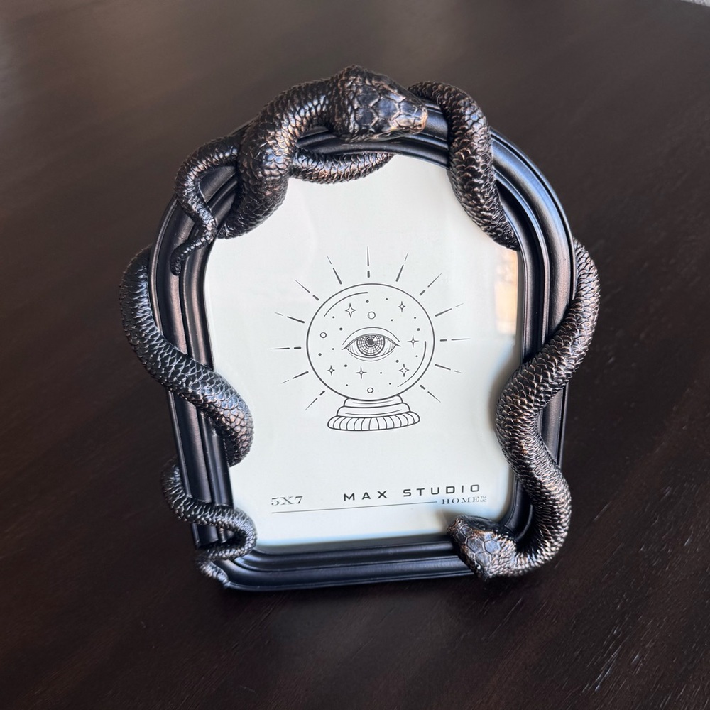 Black Serpent/Snake Frame